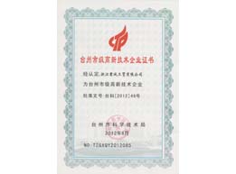 臺州市級高級技術(shù)企業(yè)證書